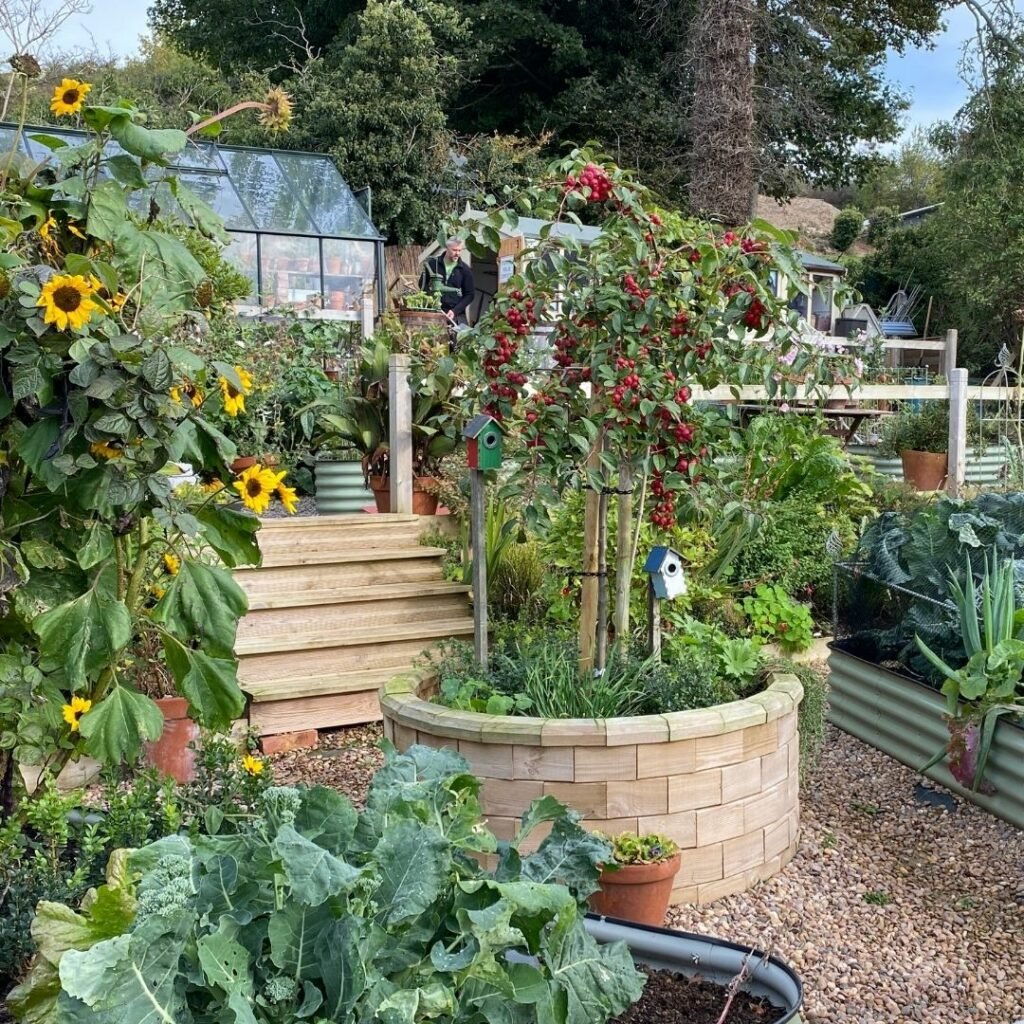 Growing-trees-in-raised-beds Growing-trees-in-rasied-beds