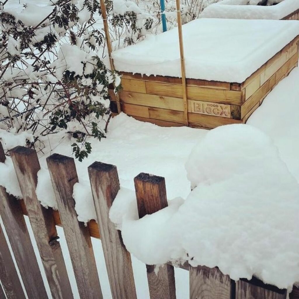 winter-veg-raised-beds