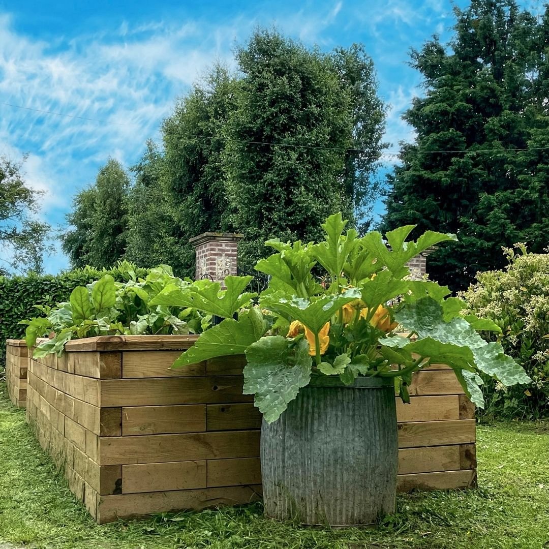 WoodBlocX raised bed