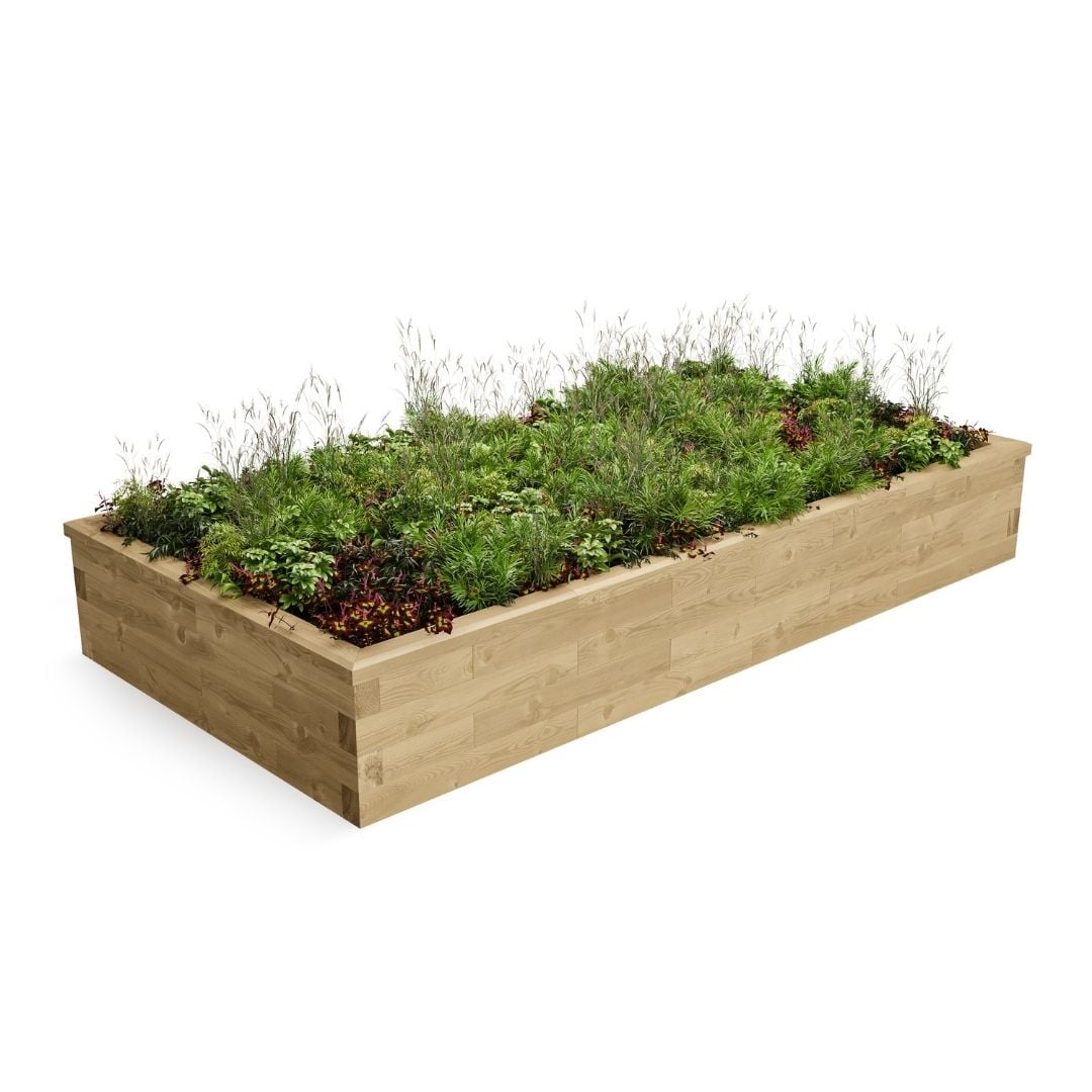 Medium sized raised beds