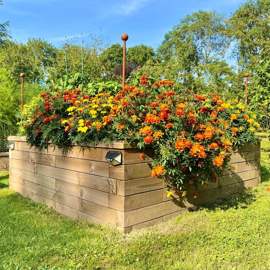 WoodBlocX raised bed