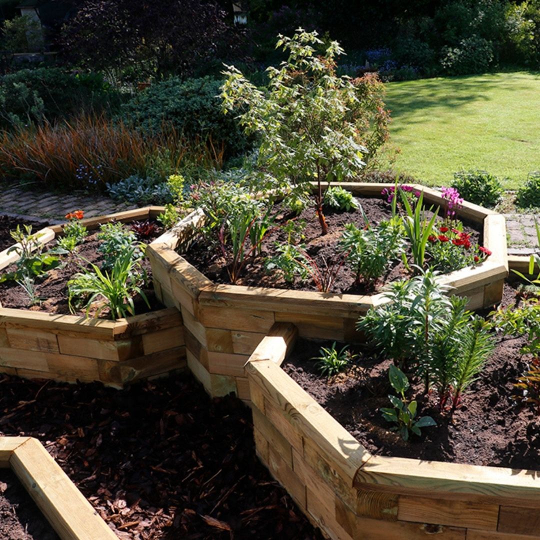 Octagonal raised beds