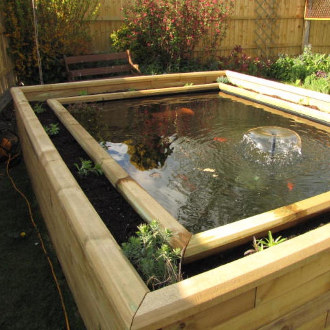 raised pond ideas for your garden