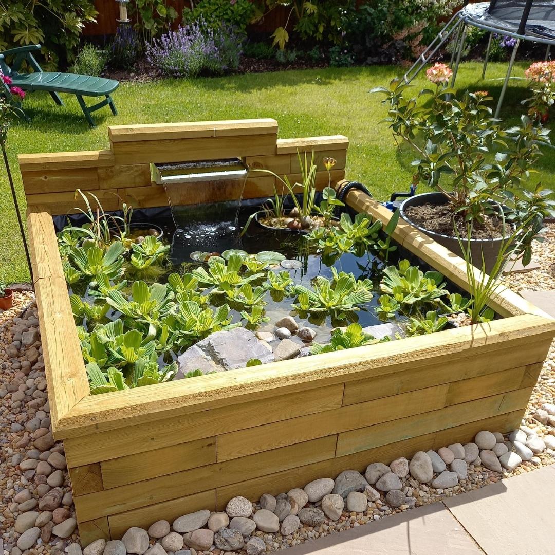 raised pond ideas for your garden