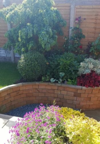 Curved garden border ideas