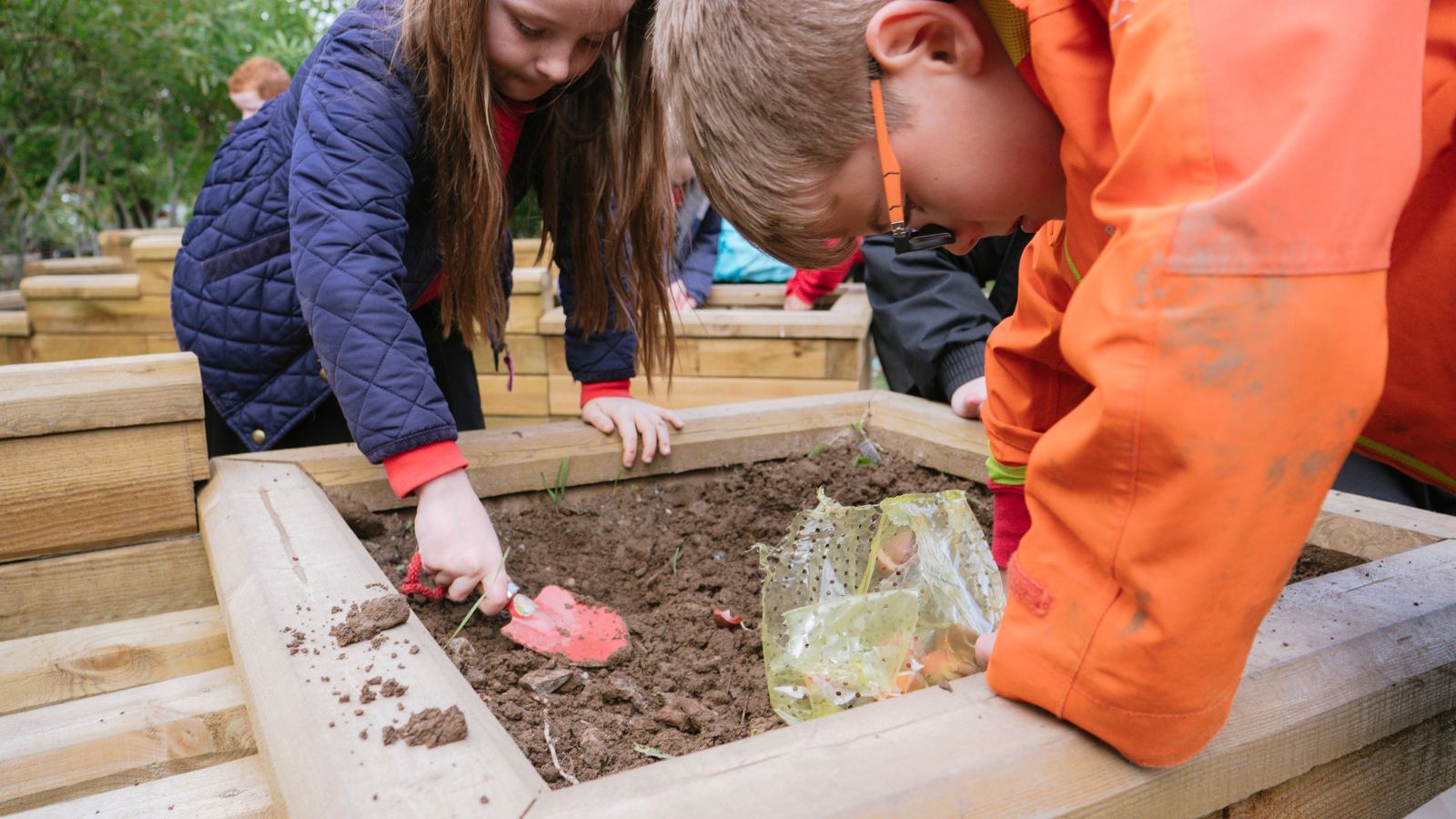 School vegetable garden ideas