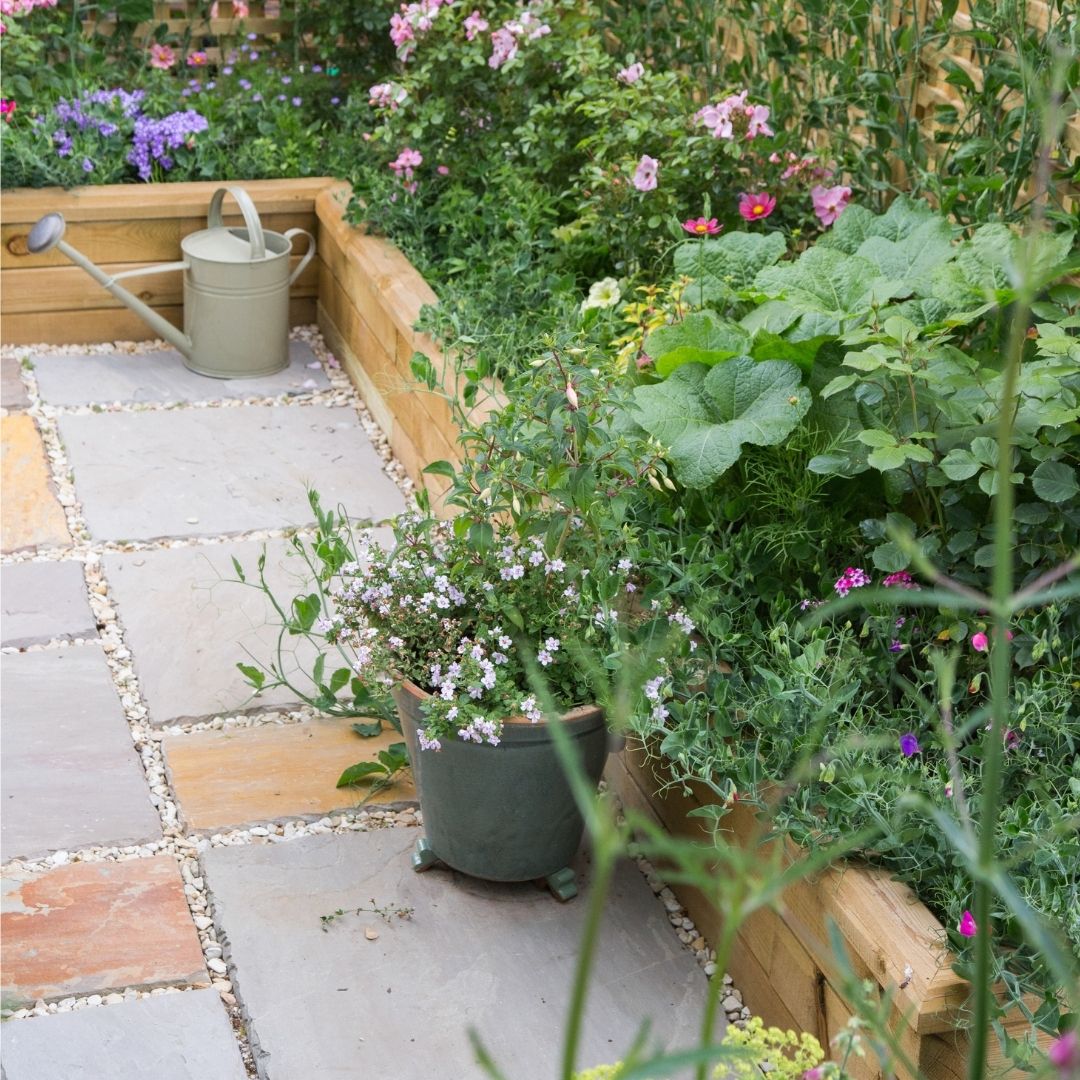 Small-new-build-garden-border
