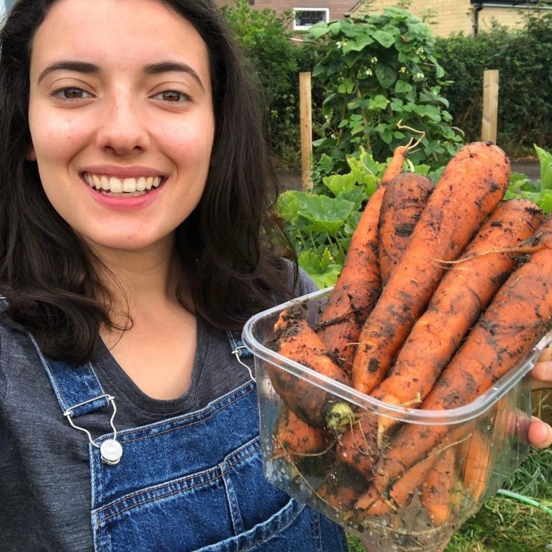 Growing carrots in raised beds