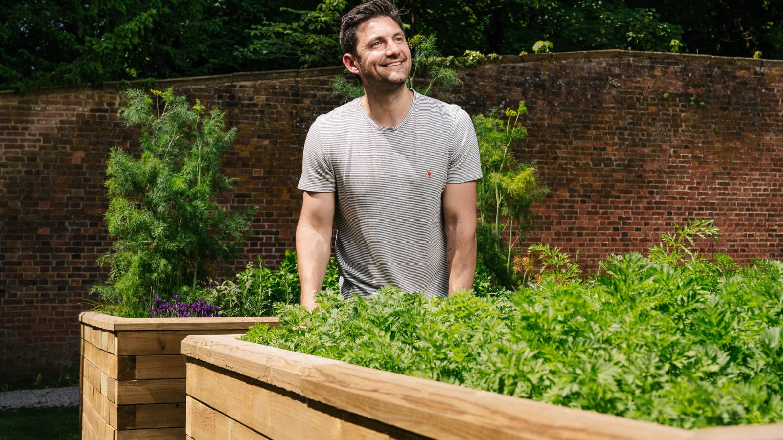 Growing carrots in raised beds