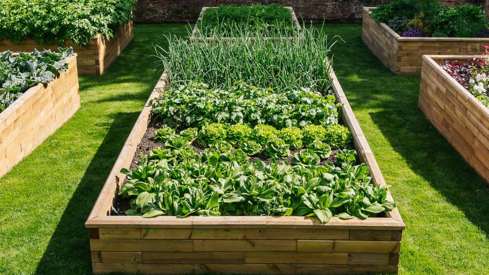 WoodBlocX raised bed in garden