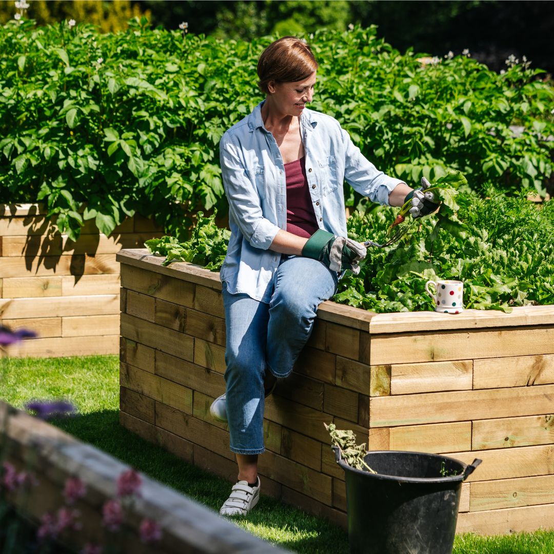 tall raised beds