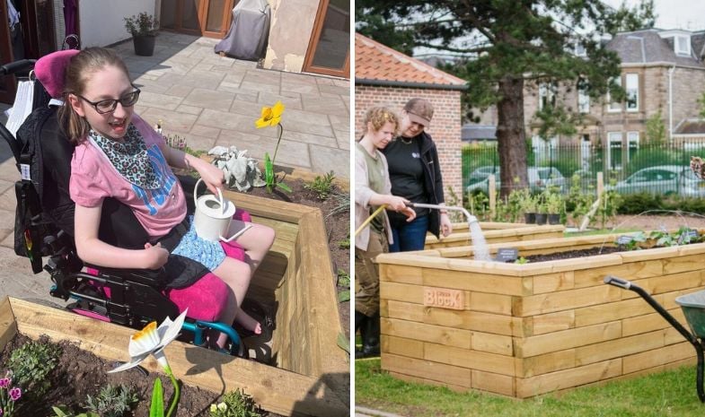 accessible raised beds image