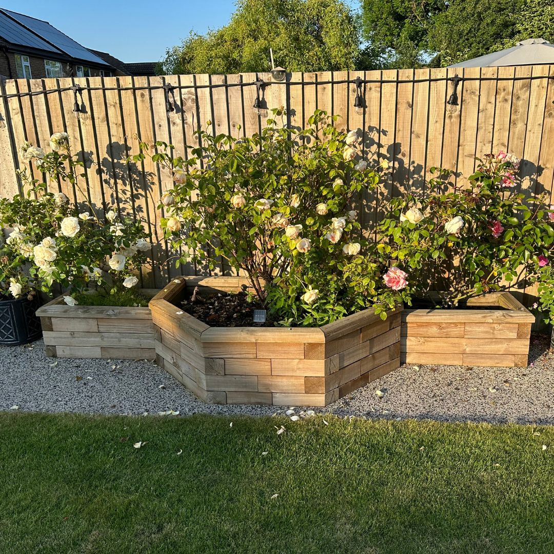 Tiered raised bed