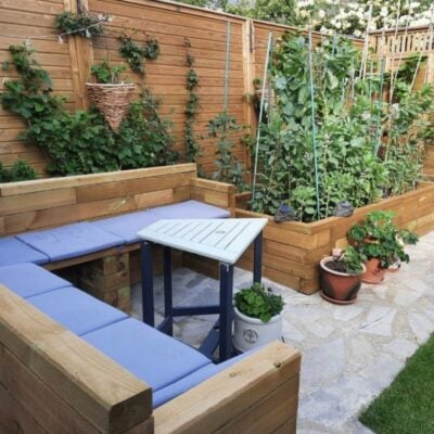 Raised-vegetable-border-idea (1) Raised-vegetable-border-idea (1)
