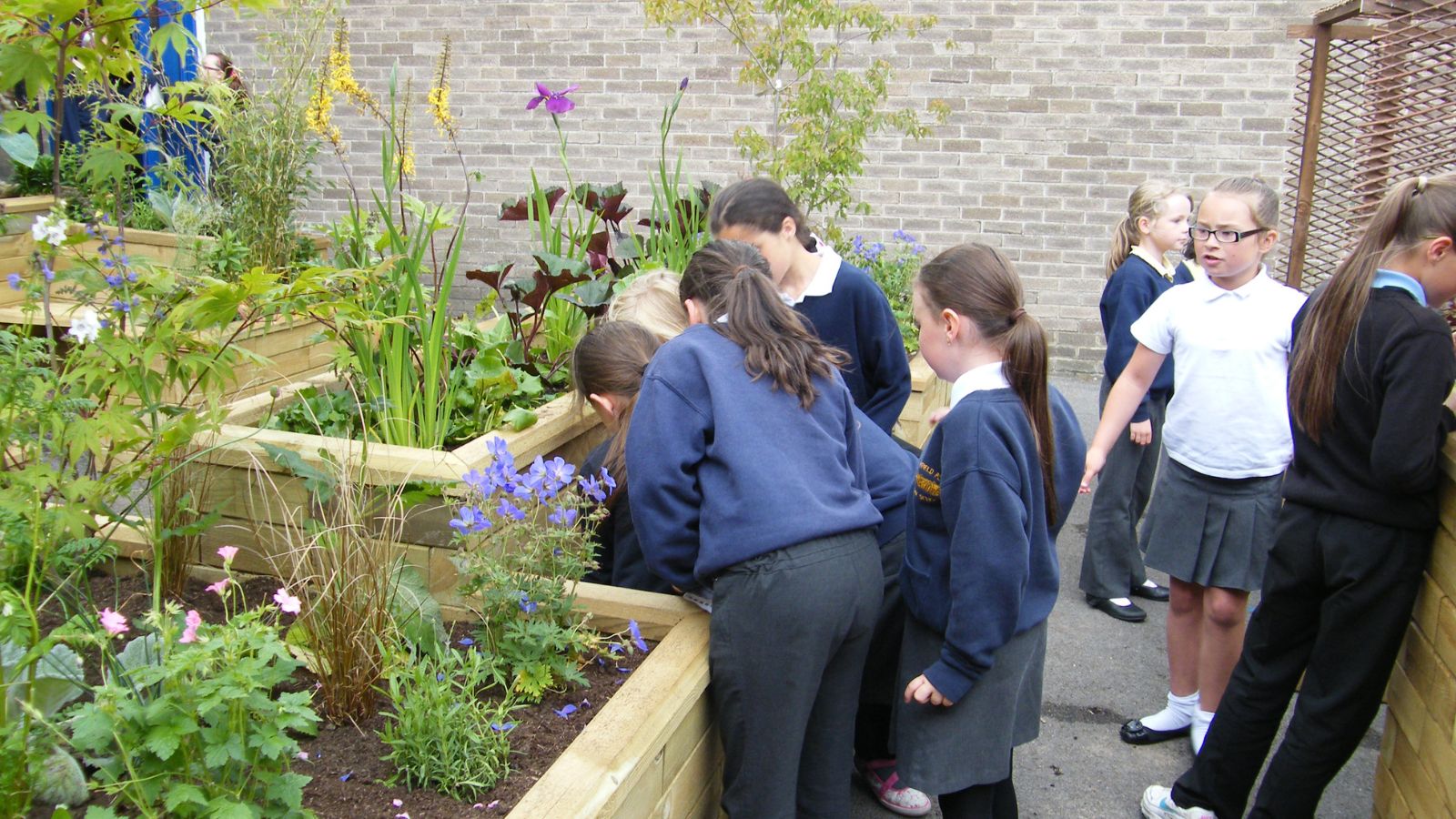 School-gardens