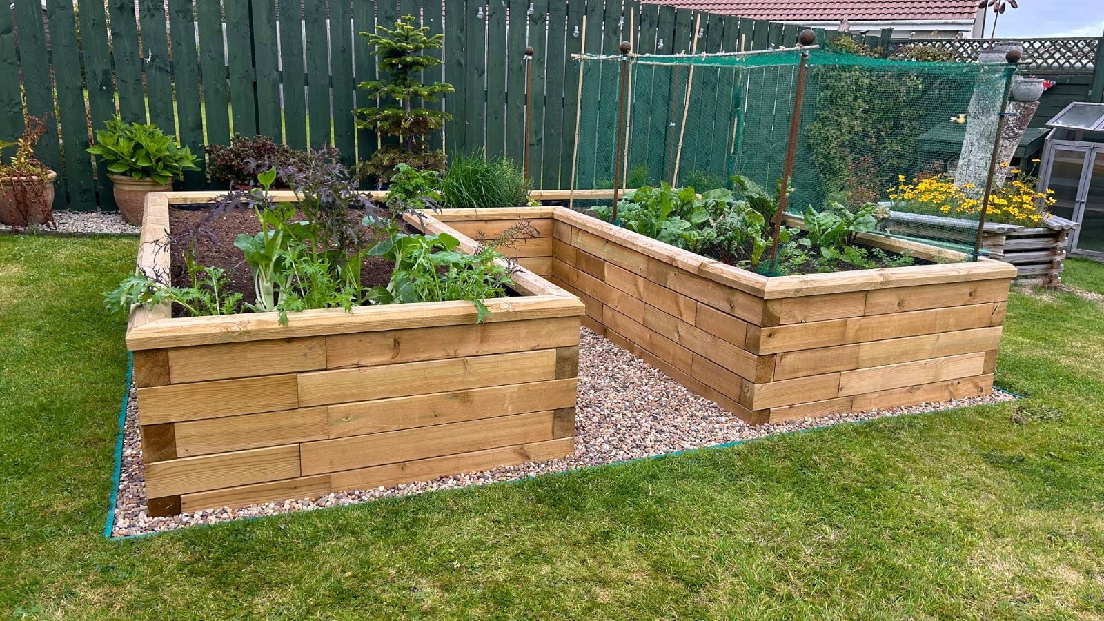 Complete raised bed with growing vegetables