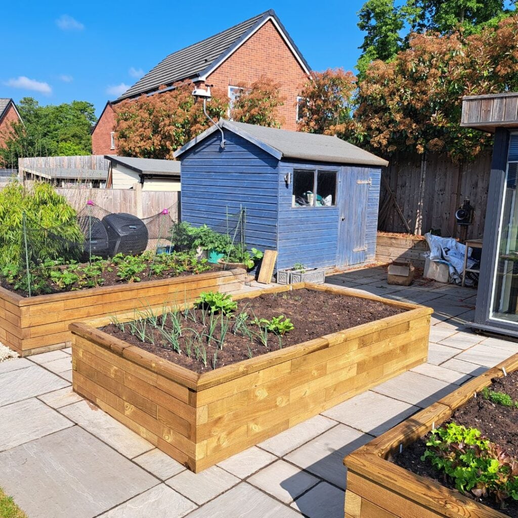Ian's raised bed vegetable garden